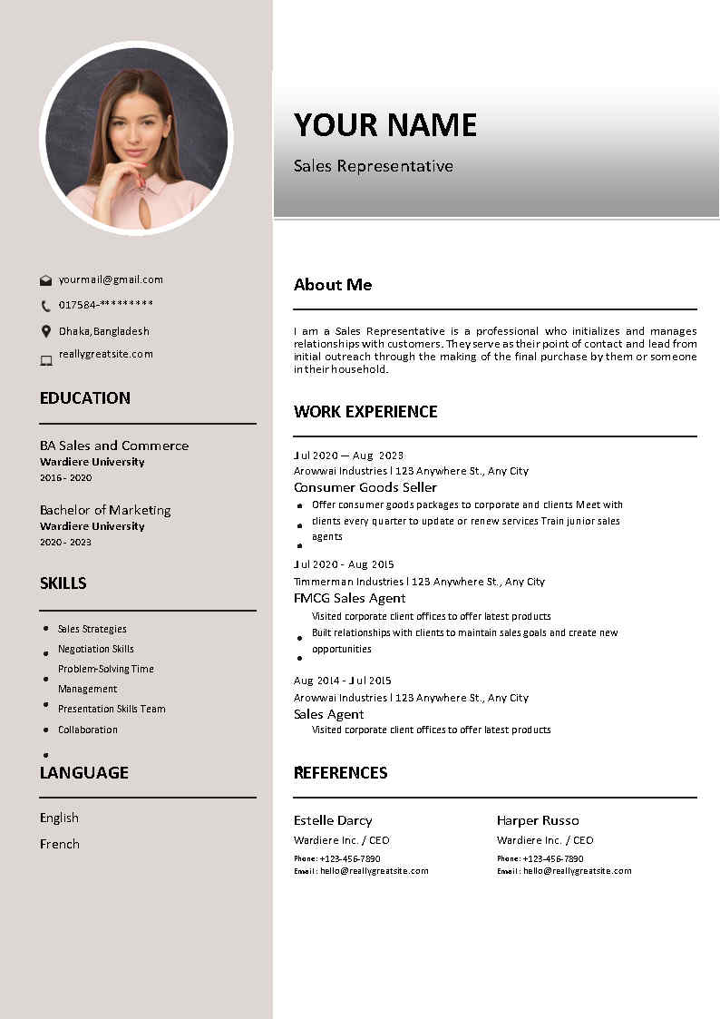 Professional CV