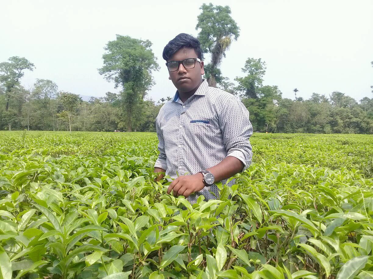  সিলেটের চা বাগান